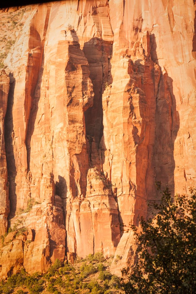 Utah hoodoos and spires,Finding Fall Color Gold in Zion National Park