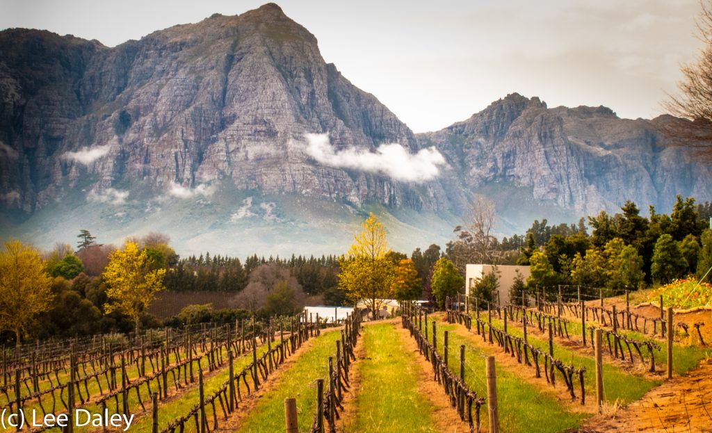 Exploring South Africa's Cape Winelands - Epicurean Destinations