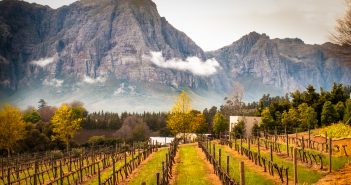 Exploring South Africa’s Cape Winelands Exploring South Africa's Cape Winelands, South Africa, Cape Winelands
