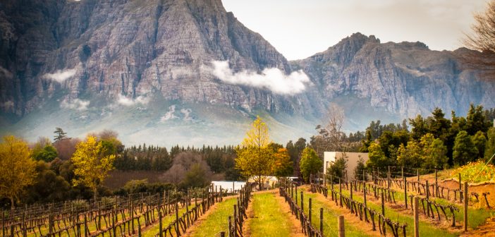 winelands