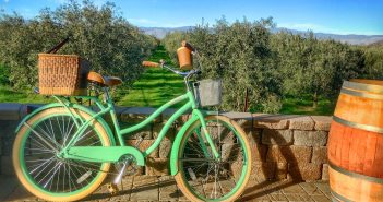 Lake County: Northern California’s Sweet Spot Lake County: A Sweet Spot Getaway north of San Francisco, Olive Groves at Chacewater Winery and Olive Mill,Olive Groves at Chacewater Winery and Olive Mill, Kelseyville, CA, Lake County
