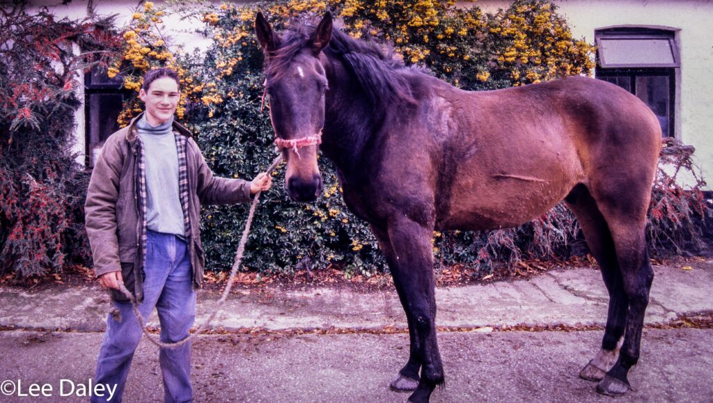 Your horse awaits you at Kinnitty Castle Equestrian Center.