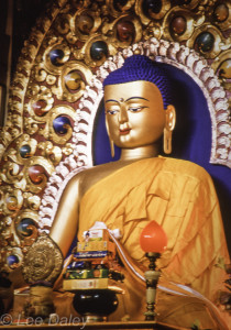 Buddha, Dharamsala, India