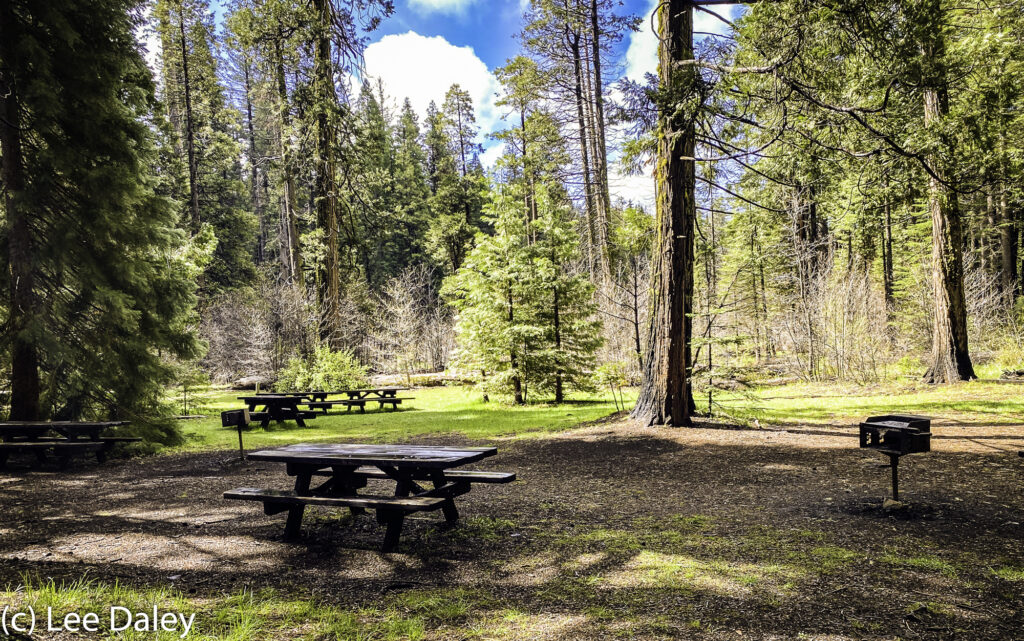 picnic area in the park, North Grove, Calaveras Tall Trees State Park